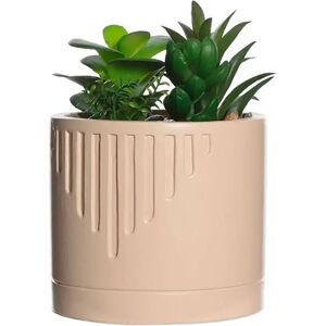 Blancheporte Plante artificielle et pot ciment - Blancheporte Beige Unité