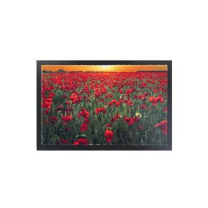 Blancheporte Tapis anti-poussière motif coquelicots - Blancheporte Unique Tapis : 60x80cm