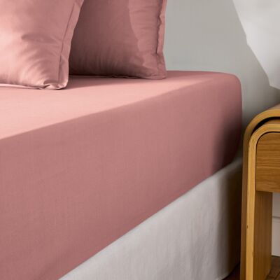 La Redoute Interieurs - SCENARIO - Malve - 90x190 - Fitted Sheet La Redoute Interieurs - SCENARIO - Malve - 90x190 - Fitted Sheet