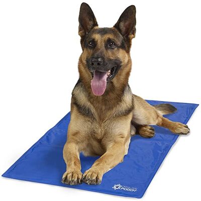 OEM Αυτοδροσιζόμενο Χαλάκι Gel Ψύξης Polar Pooch Για Κατοικίδια 55 x 83 εκ OEM Αυτοδροσιζόμενο Χαλάκι Gel Ψύξης Polar Pooch Για Κατοικίδια 55 x 83 εκ