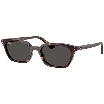 óculos de sol Ray-ban ZAYA UNISEX 0RB4456 135987 Brown ACC 53 óculos de sol Ray-ban ZAYA UNISEX 0RB4456 135987 Brown ACC 53
