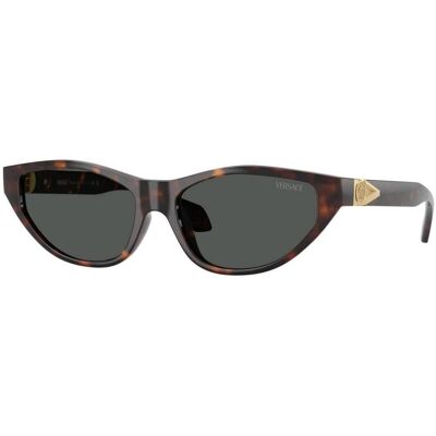 óculos de sol Versace 0VE4491U 108/87 Brown ACC 55 óculos de sol Versace 0VE4491U 108/87 Brown ACC 55