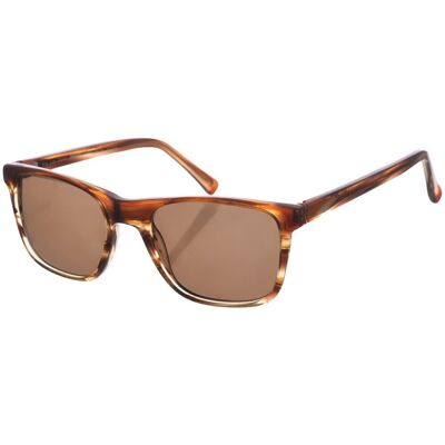 óculos de sol Zen Z445 Brown One Size óculos de sol Zen Z445 Brown One Size