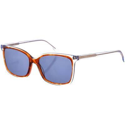 óculos de sol Zen Z492 Brown One Size óculos de sol Zen Z492 Brown One Size
