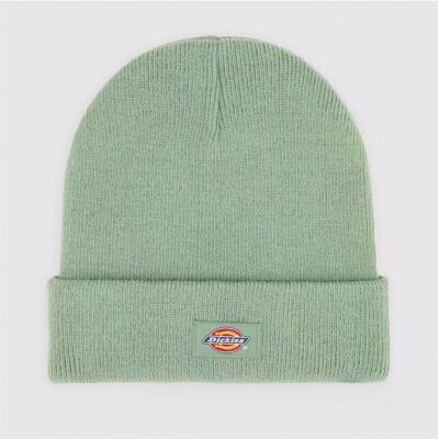 Σκούφος Dickies Gibsland Green One Size Σκούφος Dickies Gibsland Green One Size