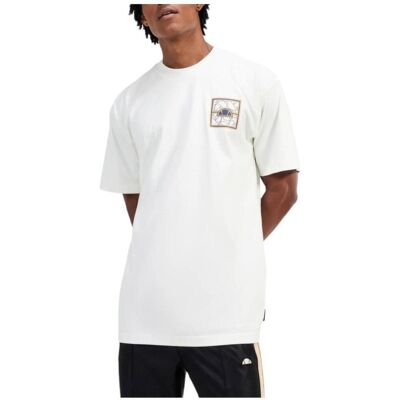 T-shirt με κοντά μανίκια Ellesse SHX21069 904 Άσπρο Large αρσενικός T-shirt με κοντά μανίκια Ellesse SHX21069 904 Άσπρο Large αρσενικός