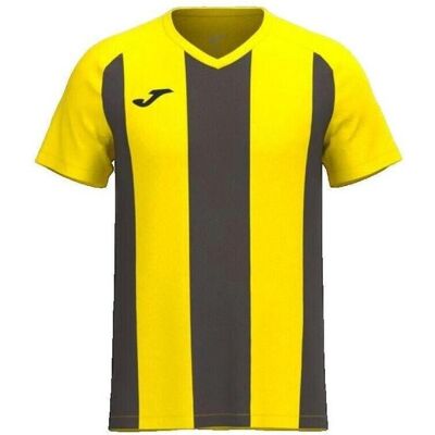 T-shirt με κοντά μανίκια Joma T-shirt Inter Iv Jaune Yellow Large αρσενικός T-shirt με κοντά μανίκια Joma T-shirt Inter Iv Jaune Yellow Large αρσενικός
