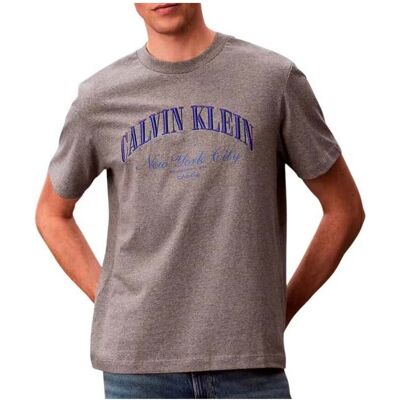 T-shirt με κοντά μανίκια Calvin Klein Jeans March Graphic Season Grey Small αρσενικός T-shirt με κοντά μανίκια Calvin Klein Jeans March Graphic Season Grey Small αρσενικός