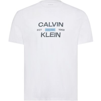 T-shirts & Polos Calvin Klein Jeans Lv04rg805g Eu Calvinklein Stack Gra Άσπρο Small αρσενικός T-shirts & Polos Calvin Klein Jeans Lv04rg805g Eu Calvinklein Stack Gra Άσπρο Small αρσενικός