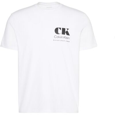 T-shirts & Polos Calvin Klein Jeans Lv04rg802g Eu Ck Resort Graphic Tee Άσπρο Small αρσενικός T-shirts & Polos Calvin Klein Jeans Lv04rg802g Eu Ck Resort Graphic Tee Άσπρο Small αρσενικός
