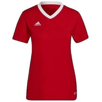 T-shirt με κοντά μανίκια adidas T-shirt Entrada 22 rouge Red Medium θηλυκός T-shirt με κοντά μανίκια adidas T-shirt Entrada 22 rouge Red Medium θηλυκός