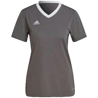 T-shirt με κοντά μανίκια adidas T-shirt Entrada 22 pour femme Grey Small θηλυκός T-shirt με κοντά μανίκια adidas T-shirt Entrada 22 pour femme Grey Small θηλυκός