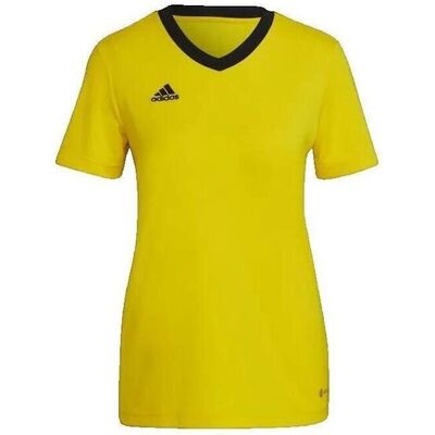 T-shirt με κοντά μανίκια adidas T-shirt Entrada 22 Jaune Yellow Small θηλυκός T-shirt με κοντά μανίκια adidas T-shirt Entrada 22 Jaune Yellow Small θηλυκός