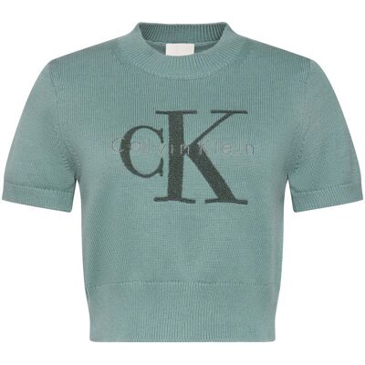 T-shirt με κοντά μανίκια Calvin Klein Jeans Chunky Cotton Graphi Green Large θηλυκός T-shirt με κοντά μανίκια Calvin Klein Jeans Chunky Cotton Graphi Green Large θηλυκός