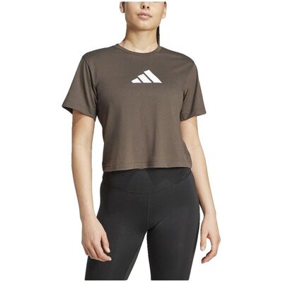 T-shirts & Polos adidas T-shirt Train Essentials technologie AEROREADY Brown Extra Large θηλυκός T-shirts & Polos adidas T-shirt Train Essentials technologie AEROREADY Brown Extra Large θηλυκός