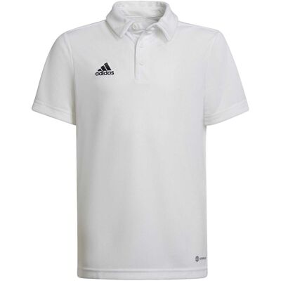 T-shirts & Polos adidas Ent22 Y Άσπρο 15 / 16 χρονών αρσενικός T-shirts & Polos adidas Ent22 Y Άσπρο 15 / 16 χρονών αρσενικός