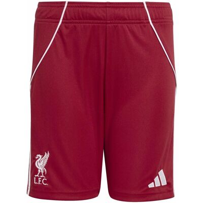 Shorts & Βερμούδες adidas Lfc H Sho Y Red 9 / 10 ετών Shorts & Βερμούδες adidas Lfc H Sho Y Red 9 / 10 ετών