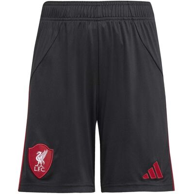 Shorts & Βερμούδες adidas Lfc A Sho Y Beige 9 / 10 ετών Shorts & Βερμούδες adidas Lfc A Sho Y Beige 9 / 10 ετών