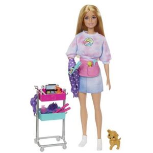 Mattel Barbie Malibu Κομμώτρια (HNK95)
