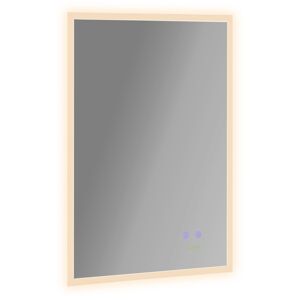 Kleankin Καθρέφτης μπάνιου Kleankin με φως LED 70x50 cm, Καθρέφτης με λειτουργία κατά της ομίχλης και κουμπιά αφής, ασημί