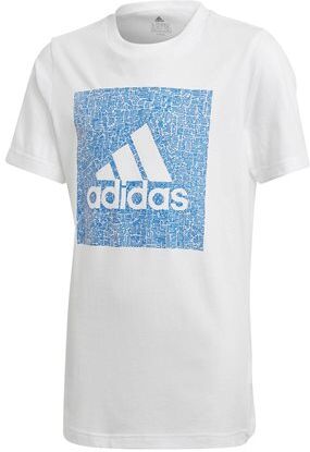 adidas τ-shirt mh bos box  - white-cyan