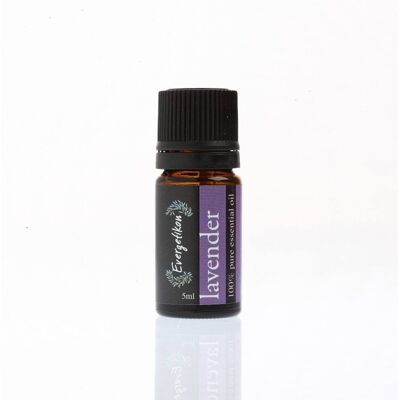 Evergetikon Αιθέριο Έλαιο Λεβάντα 5ml Evergetikon Αιθέριο Έλαιο Λεβάντα 5ml