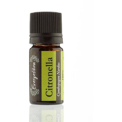 Evergetikon Αιθέριο έλαιο Σιτρονέλα 5ml Evergetikon Αιθέριο έλαιο Σιτρονέλα 5ml