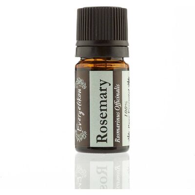 Evergetikon Αιθέριο έλαιο Δεντρολίβανο 5ml Evergetikon Αιθέριο έλαιο Δεντρολίβανο 5ml