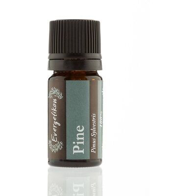 Evergetikon Αιθέριο έλαιο Πεύκο 5ml Evergetikon Αιθέριο έλαιο Πεύκο 5ml
