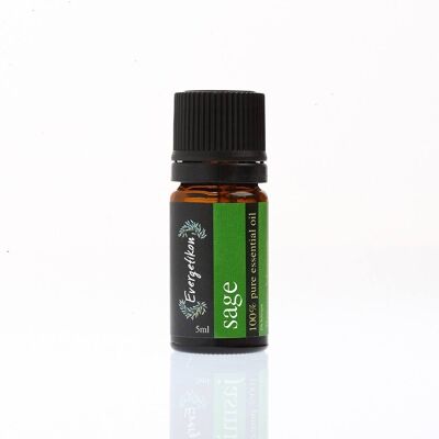 Evergetikon Αιθέριο έλαιο Φασκόμηλο 5ml Evergetikon Αιθέριο έλαιο Φασκόμηλο 5ml