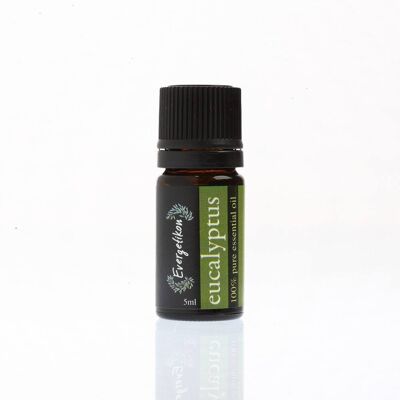Evergetikon Αιθέριο έλαιο Eυκάλυπτος 5ml Evergetikon Αιθέριο έλαιο Eυκάλυπτος 5ml