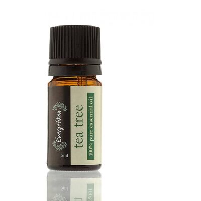 Evergetikon Αιθέριο Έλαιο Τεϊόδεντρο 5ml Evergetikon Αιθέριο Έλαιο Τεϊόδεντρο 5ml