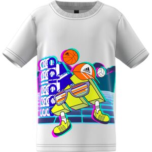 ADIDAS LB CO GRA TEE HE0026 ADIDAS LB CO GRA TEE HE0026