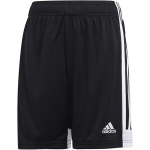ADIDAS Tastigo 19 Shorts DP3173 ADIDAS Tastigo 19 Shorts DP3173