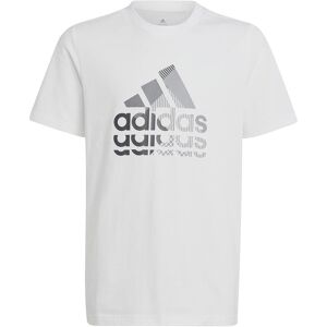 ADIDAS Graphic T-Shirt IB9137 ADIDAS Graphic T-Shirt IB9137