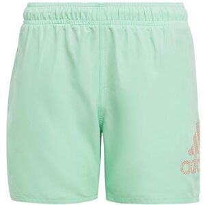 ADIDAS Logo CLX Swim Shorts IC7697 ADIDAS Logo CLX Swim Shorts IC7697