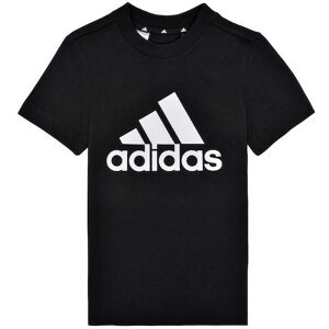 ADIDAS BOYS ESSENTIALS BIG LOGO TEE GN3999 ADIDAS BOYS ESSENTIALS BIG LOGO TEE GN3999