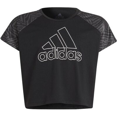 ADIDAS Designed 2 Move Seasonal Tee GT1418 ADIDAS Designed 2 Move Seasonal Tee GT1418