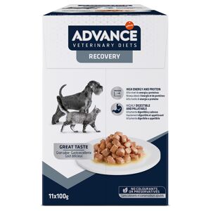 Affinity Advance Veterinary Diets 22x100g Advance Veterinary Diets Recovery Υγρή Τροφή Κατοικιδίων