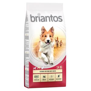 briantos 14kg Adult Κοτόπουλο & Ρύζι briantos Ξηρά Τροφή Σκύλων