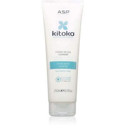 ASP kitoko Hydro - Revive ενυδατικό σαμπουάν για τα μαλλιά 250 ml ASP kitoko Hydro - Revive ενυδατικό σαμπουάν για τα μαλλιά 250 ml