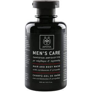 Apivita Men's Care Hair and Body Wash with Cardamon & Propolis σαμπουάν και αφρόλουτρο 2 σε 1 250 ml Apivita Men's Care Hair and Body Wash with Cardamon & Propolis σαμπουάν και αφρόλουτρο 2 σε 1 250 ml