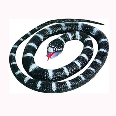 Πλαστικό Φίδι Wild Republic California King Small 66cm Km-93002 Πλαστικό Φίδι Wild Republic California King Small 66cm Km-93002