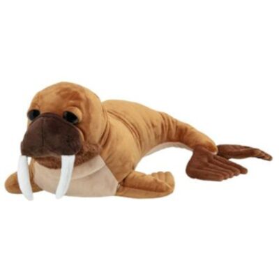 Λούτρινο Nature Planet Θαλάσσιος Ίππος (Walrus) Large+ 65cm Λούτρινο Nature Planet Θαλάσσιος Ίππος (Walrus) Large+ 65cm