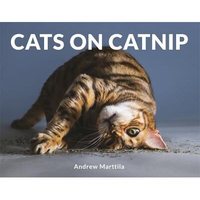 Cats on Catnip Andrew Marttila Robinson Cats on Catnip Andrew Marttila Robinson