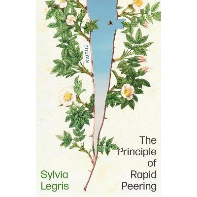 The Principle of Rapid Peering Sylvia Legris Corsair The Principle of Rapid Peering Sylvia Legris Corsair