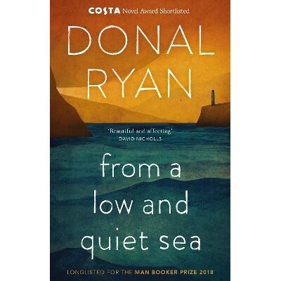 From a Low and Quiet Sea: From the Number 1 bestselling author of STRANGE FLOWERS Donal Ryan Black Swan From a Low and Quiet Sea: From the Number 1 bestselling author of STRANGE FLOWERS Donal Ryan Black Swan