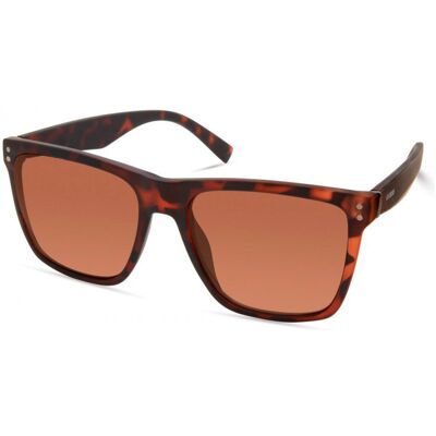 Sunglasses Guess Man GF0235-5552E (Lens/Bridge/Temple) 55/18/145 mm Sunglasses Guess Man GF0235-5552E (Lens/Bridge/Temple) 55/18/145 mm