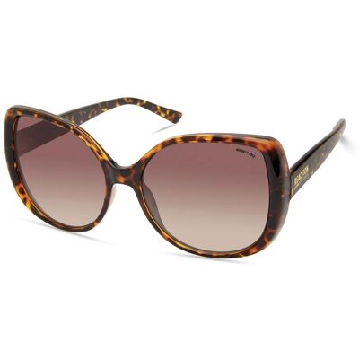 Sunglasses Kenneth Cole Women KC2967-5652F (Lens/Bridge/Temple) 56/14/140 mm Sunglasses Kenneth Cole Women KC2967-5652F (Lens/Bridge/Temple) 56/14/140 mm