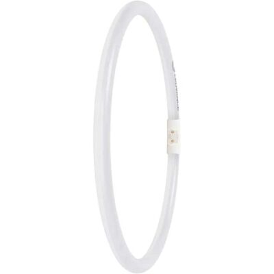 Bailey Electric & Electronics 146565 LED λαμπάκι - Συμβατό με DALI, Ενεργειακά αποδοτικό, Μακράς διάρκειας Bailey Electric & Electronics 146565 LED λαμπάκι - Συμβατό με DALI, Ενεργειακά αποδοτικό, Μακράς διάρκειας